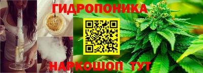 герыч Будённовск